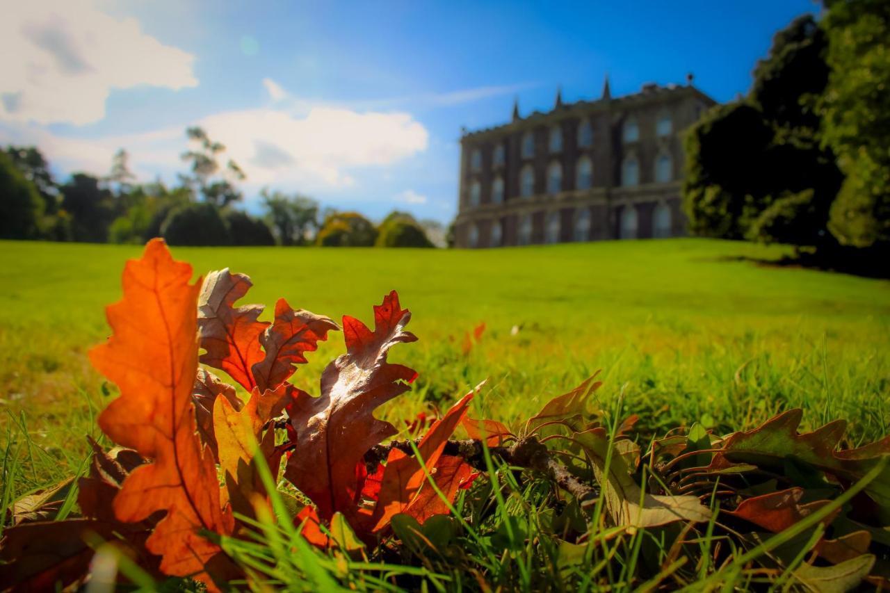The Alms House Strangford Villa Esterno foto